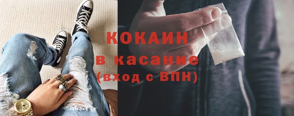 прущие грибы Краснотурьинск