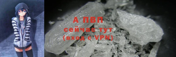 прущие грибы Краснотурьинск