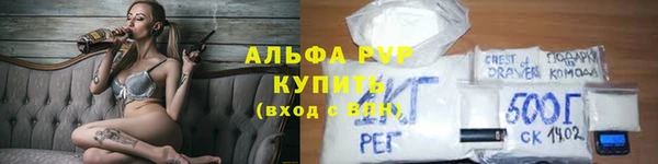 прущие грибы Краснотурьинск