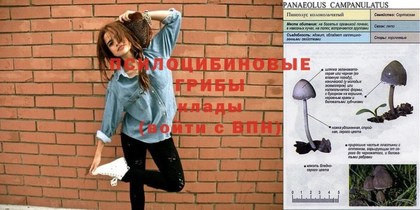 гашик Кулебаки