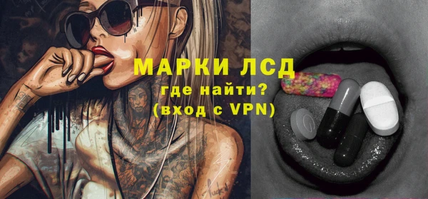 прущие грибы Краснотурьинск