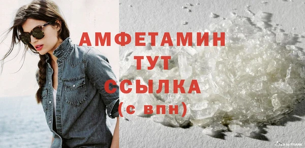 прущие грибы Краснотурьинск