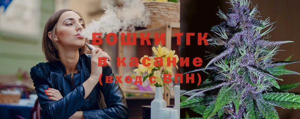 гашик Кулебаки