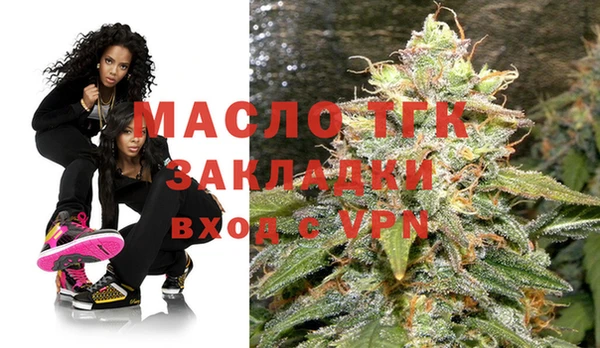 гашик Кулебаки