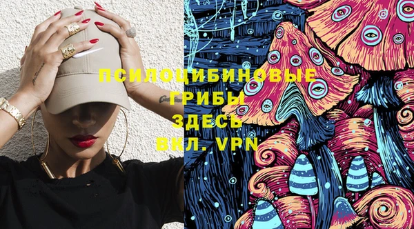 прущие грибы Краснотурьинск