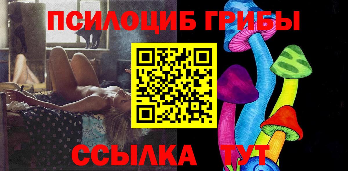 Галлюциногенные грибы Cubensis Донской