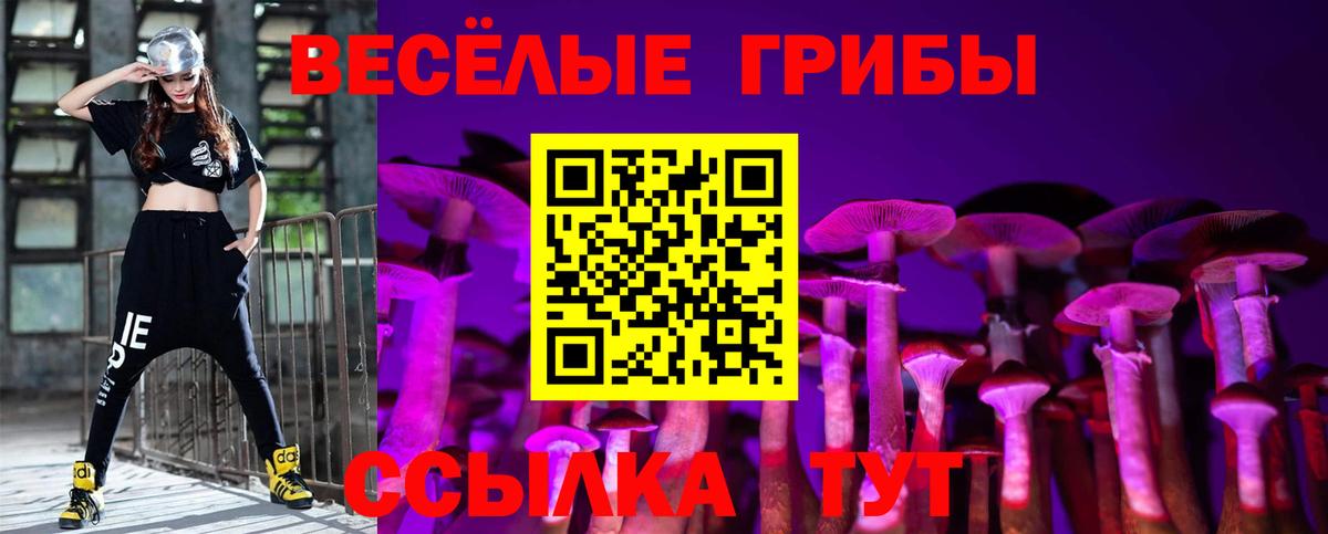 Псилоцибиновые грибы Psilocybine cubensis  Вход с VPN  Донской 